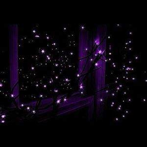 Meet your Posher, Kyleigh